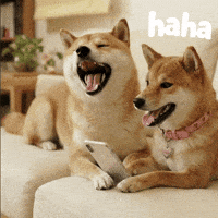 Laugh GIF by DogeGF