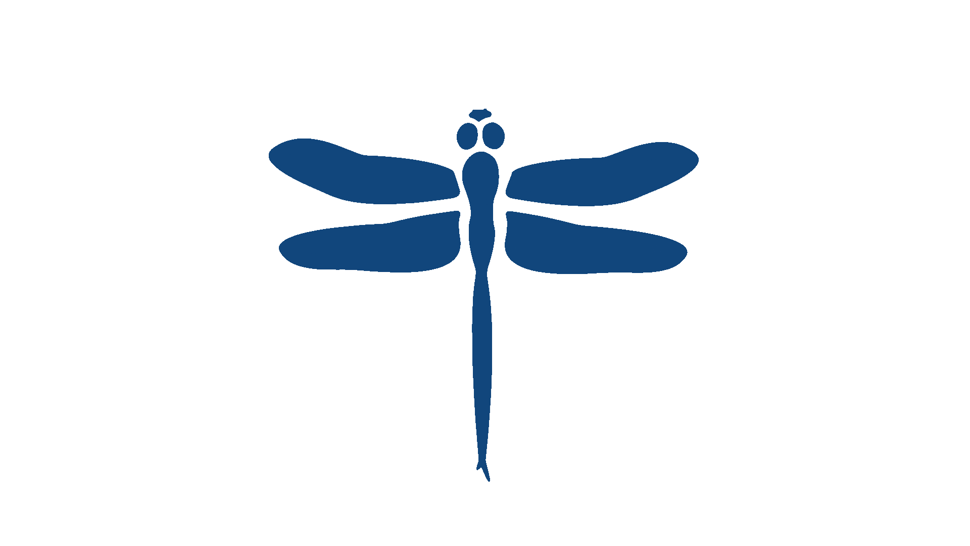 dragonfly Sticker by bartacolife