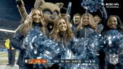 Tennessee Titans Football GIF by NFL