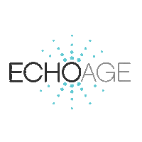 echoage birthday echoage birthday charity charity birthday Sticker