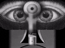 Black And White Art GIF