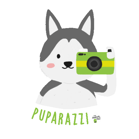 Dog Rescue Sticker by theanimalpad