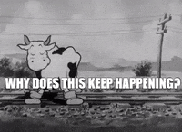 Black And White What GIF by Fleischer Studios