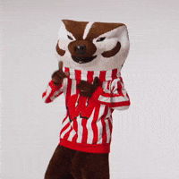 Bucky GIF by Wisconsin Foundation and Alumni Association