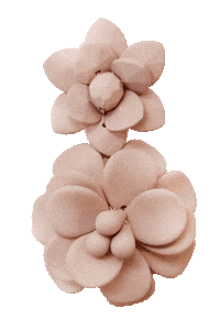 Jewelry Earrings Sticker by veronicatordi