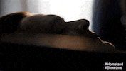 Season 5 Promo GIF by Showtime
