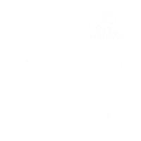 Womens Rights Abortion Sticker by INTO ACTION