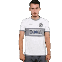 Goal Ice Sticker by BFC Dynamo