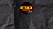 NOTshaxa notshaxa not shaxa shaxa not shaxa n1 GIF