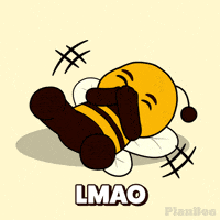 Plan B Lol GIF by Plan Bee Studios
