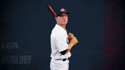 Pro GIF by USA Baseball