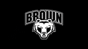 GIF by Brown Volleyball