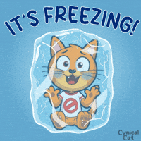 Freezing Cold Weather GIF by VeeFriends