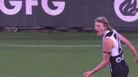 Bow And Arrow Afl GIF by Port Adelaide FC