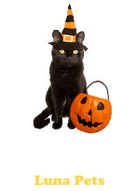 Cat Halloween Sticker by Luna Pets