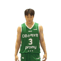 dbins 원주db dbpromy Sticker