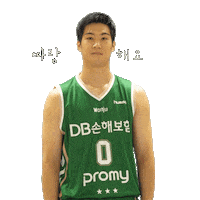 원주Db Sticker