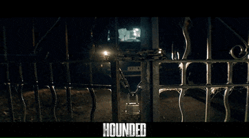 Break In October 31 GIF by Signature Entertainment