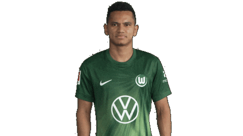 Happy Football Sticker by VfL Wolfsburg