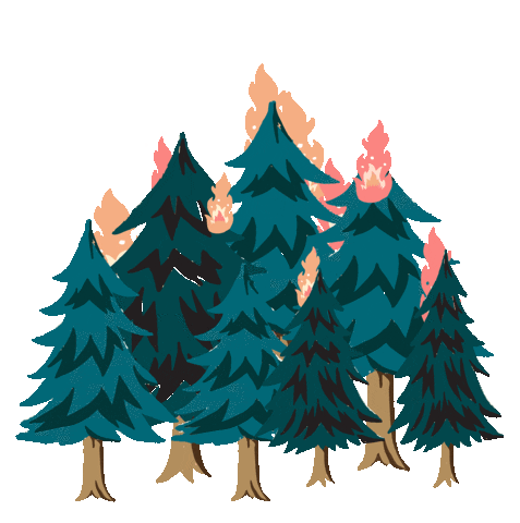 madiescott giphyupload forest fire forestfire madiescott Sticker