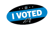 National Football League Sticker by Carolina Panthers