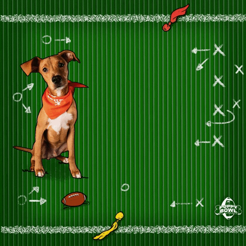 GIF by Puppy Bowl