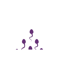 Ttc Sperm Sticker by New Hope Fertility Center