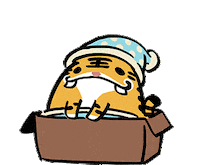 Good Night Sleeping Sticker