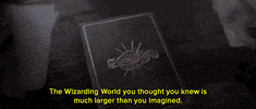 harry potter news GIF