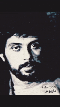 Aryan86666 darush aryan66686 GIF