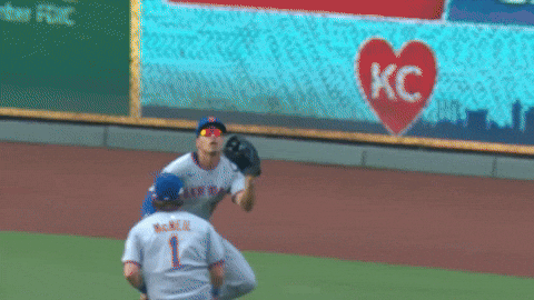 Baseball Nyc GIF by New York Mets