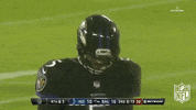 Baltimore Ravens Football GIF by NFL