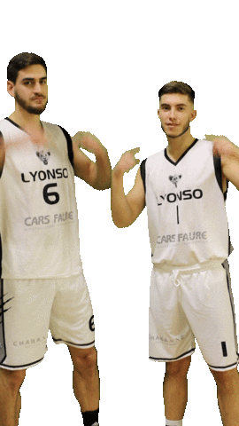 National 2 Basketball Sticker by Lyonso Basket