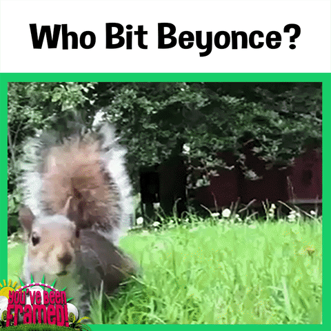 ITV who bit beyonce? GIF by You've Been Framed!