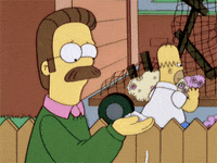 ned flanders homer GIF