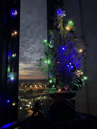 GIF by FlexFitHub