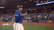 Home Run Celebration GIF by Toronto Blue Jays