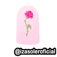 Rosa Fera Sticker by Izasoler