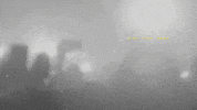 posty GIF by Post Malone