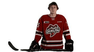 Ohl Guelph Sticker by GuelphStormHockey