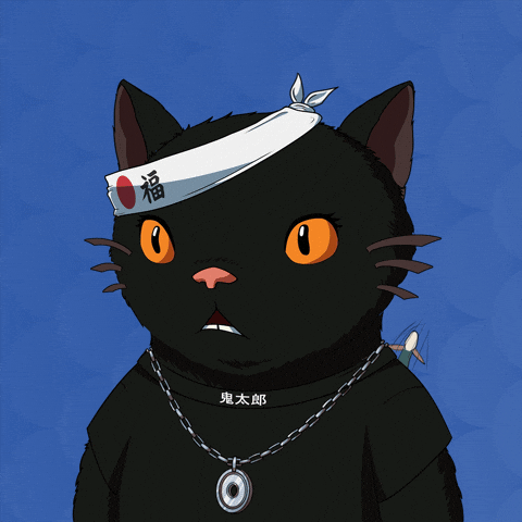 Happy Cat GIF by Kitaro World