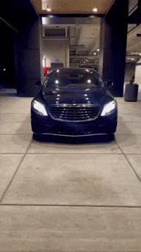 Bing GIF