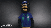 MISpeedway pointing nascar brooks mis GIF