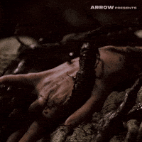 High School Film GIF by Arrow Video