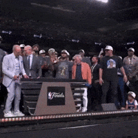 New York Knicks Nba Champions GIF