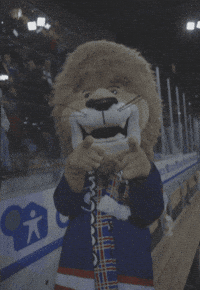 VIFHockey vif sjef vålerenga vifhockey GIF