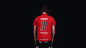 Niittarit GIF by LNM Salibandy