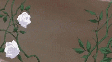 roses flores GIF
