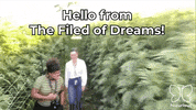 The Republic Fun GIF by HiCurious