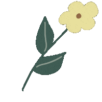 Flowers Daisy Sticker